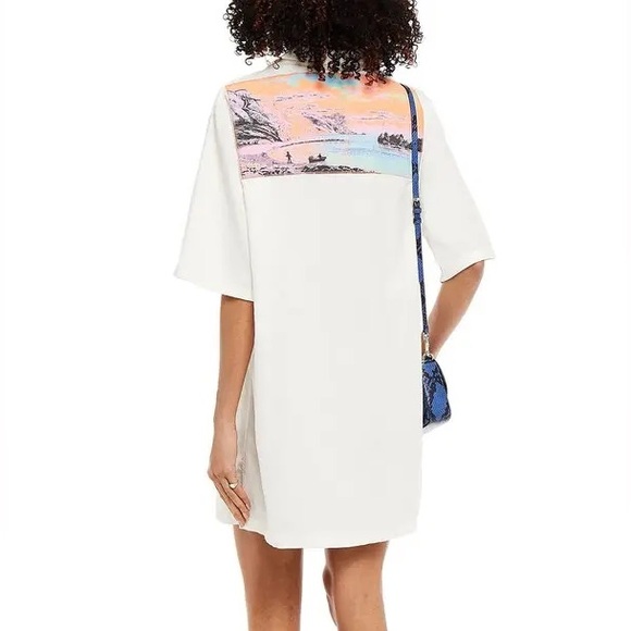 ALEXANDER MCQUEEN Genesis Ii Embroidered Printed Cotton-Canvas Mini Shirt Dress - Picture 2 of 8